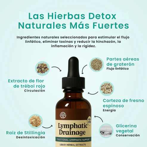 Lymphatic - Adiós Hinchazón: El Secreto Natural para Afinar Tu Silueta Desde Dentro